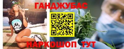 СК Дубна