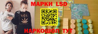 СК Дубна