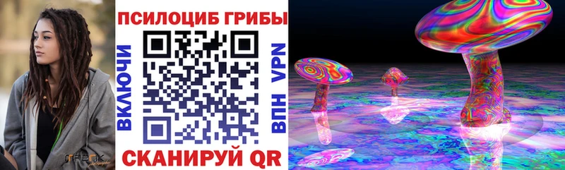 как найти закладки  Кинель  Галлюциногенные грибы MAGIC MUSHROOMS 